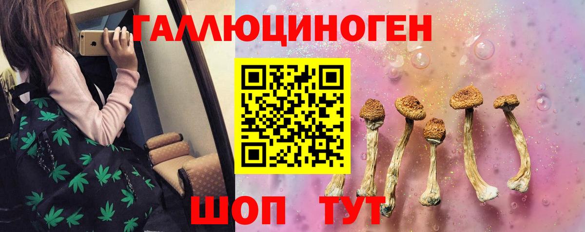 Галлюциногенные грибы Cubensis  Вход с VPN  Коммунар 